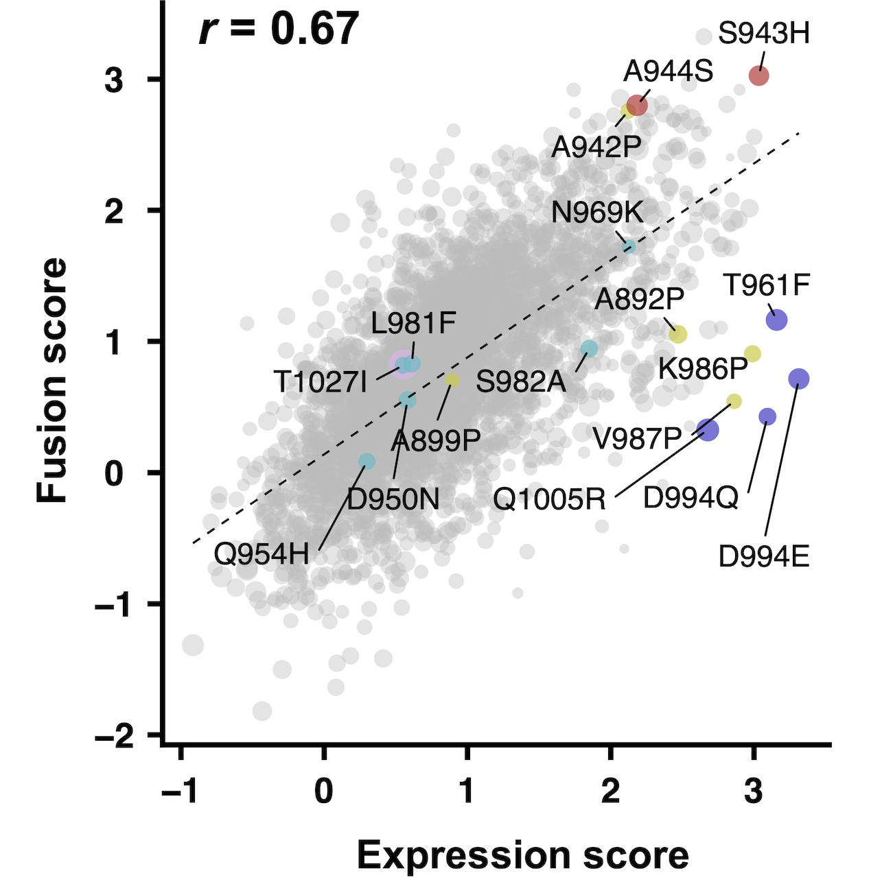Fusion_Expression